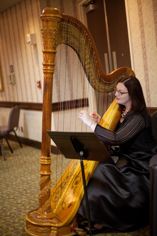 Springfield Illinois Wedding Harpist - Hilton Bridal Expo