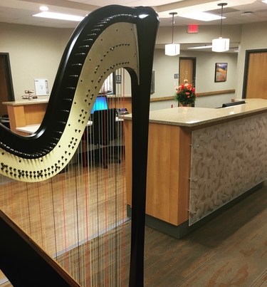 Harpist for an Open House in Springfield, IL