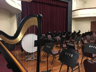 Professional Harpist in Springfield