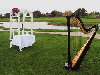 Central Illinois Wedding Music Harp