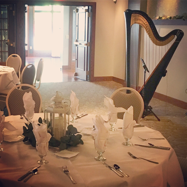 Central Illinois Harp Wedding