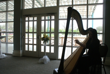 Lake Michigan Wedding Harpist at Shadowland Ballroom
