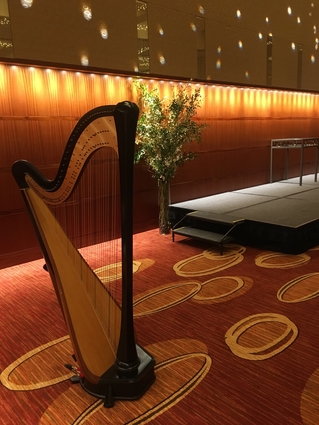 Harpist in St. Louis