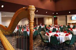 South Bend Indiana Harpist for a Wedding Reception