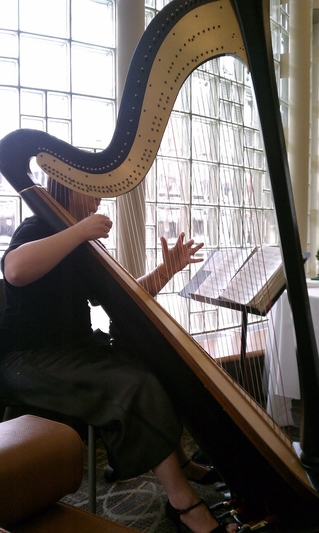 South Bend Harpist at the Library
