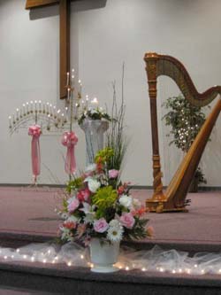 Wedding Harpist Indiana Ceremony Musician