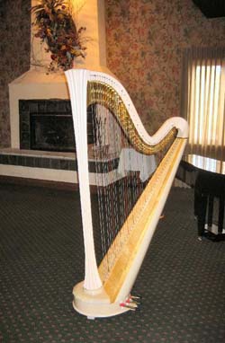 Valparaiso Indiana Wedding Harpist