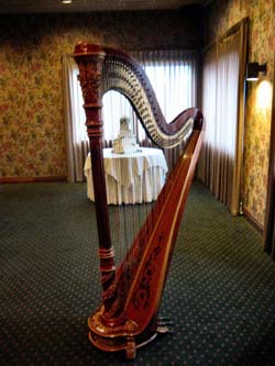 Wedding Reception Music Harp Northwest Indiana