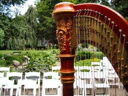 Kalamazoo Wedding Harpist