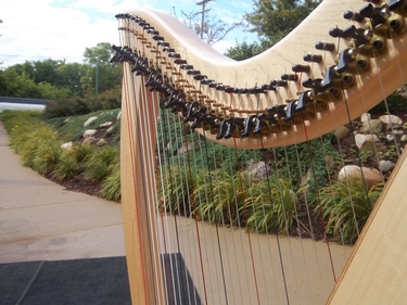 Battle Creek Harpist for an Outdoor Wedding Ceremony