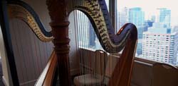 Chicago Wedding Harpist Duet Illinois