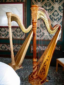 Port Huron Michigan Wedding Harpist