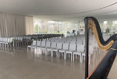 Toledo OH Harpist for Weddings