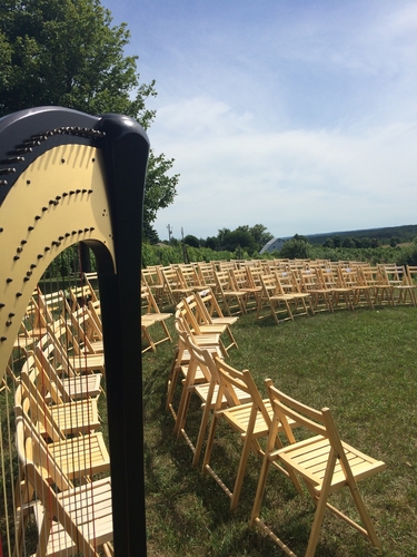 Harpist for Traverse City Vineyard Weddings