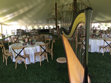 Traverse City Wedding Reception Music on the Harp