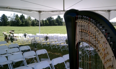 Harpist for Upper Peninsula Weddings