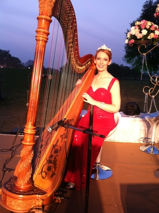 International Harpist for a Wedding at Laxmi Vilas Palace