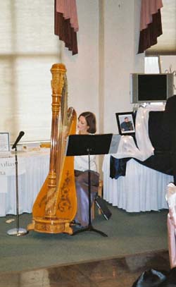Northwest Indiana Bridal Expo Harpist