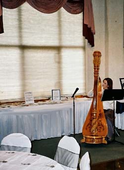Chicago Harpist Wedding Expo Musician
