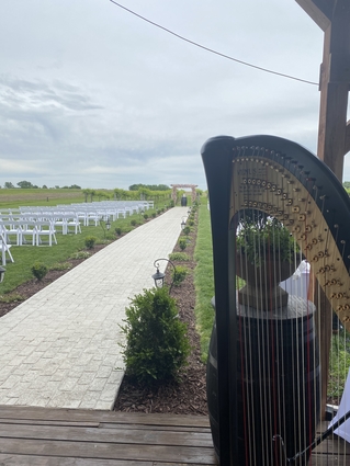 Wedding Harpist in Des Moines IA