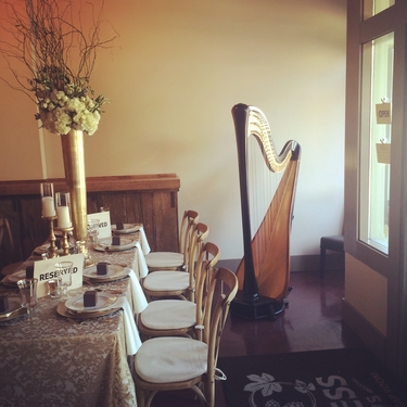 Northern Missouri Wedding Harpist