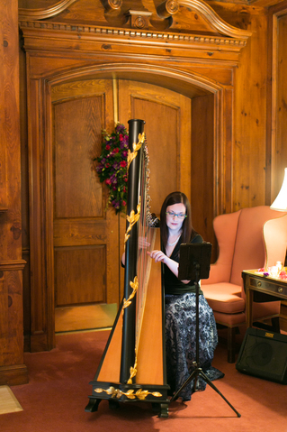 Detroit Michigan Wedding Harpist