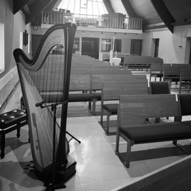 West Lafayette Harpist