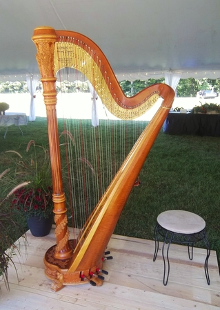 West Lafayette Indiana Wedding Harpist