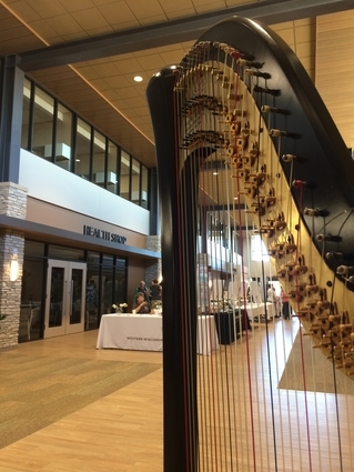 Western Wisconsin Harpist