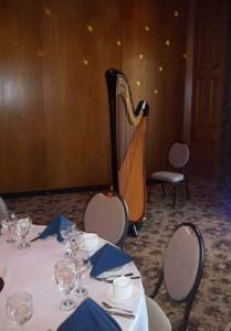 Wicker Park Wedding Reception Music Harpist NWI