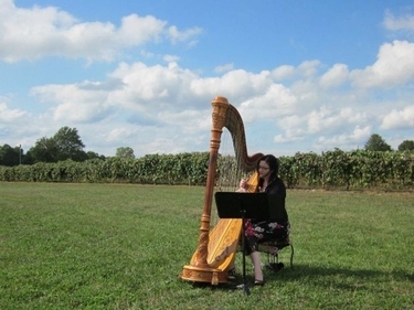 Harp for a Wedding in Southwest Michigan