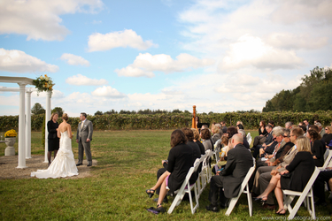 Winery Wedding in Southwest Michigan - Harpist