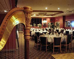 Willowbrook Ballroom Wedding Reception Chicago Harpist
