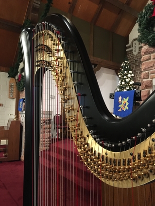 Wedding Music Wisconsin Dells Harp