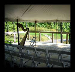 Augusta Michigan Wedding Ceremony Music Harpist