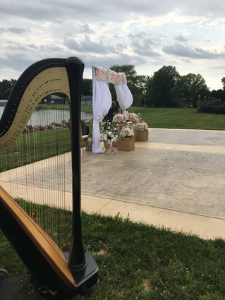 Youngstown Wedding Harpist