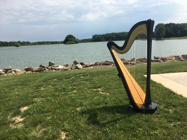 Harpist in Youngstown Ohio
