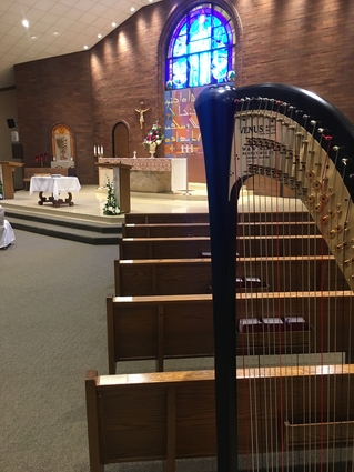 Youngstown Wedding Harpist