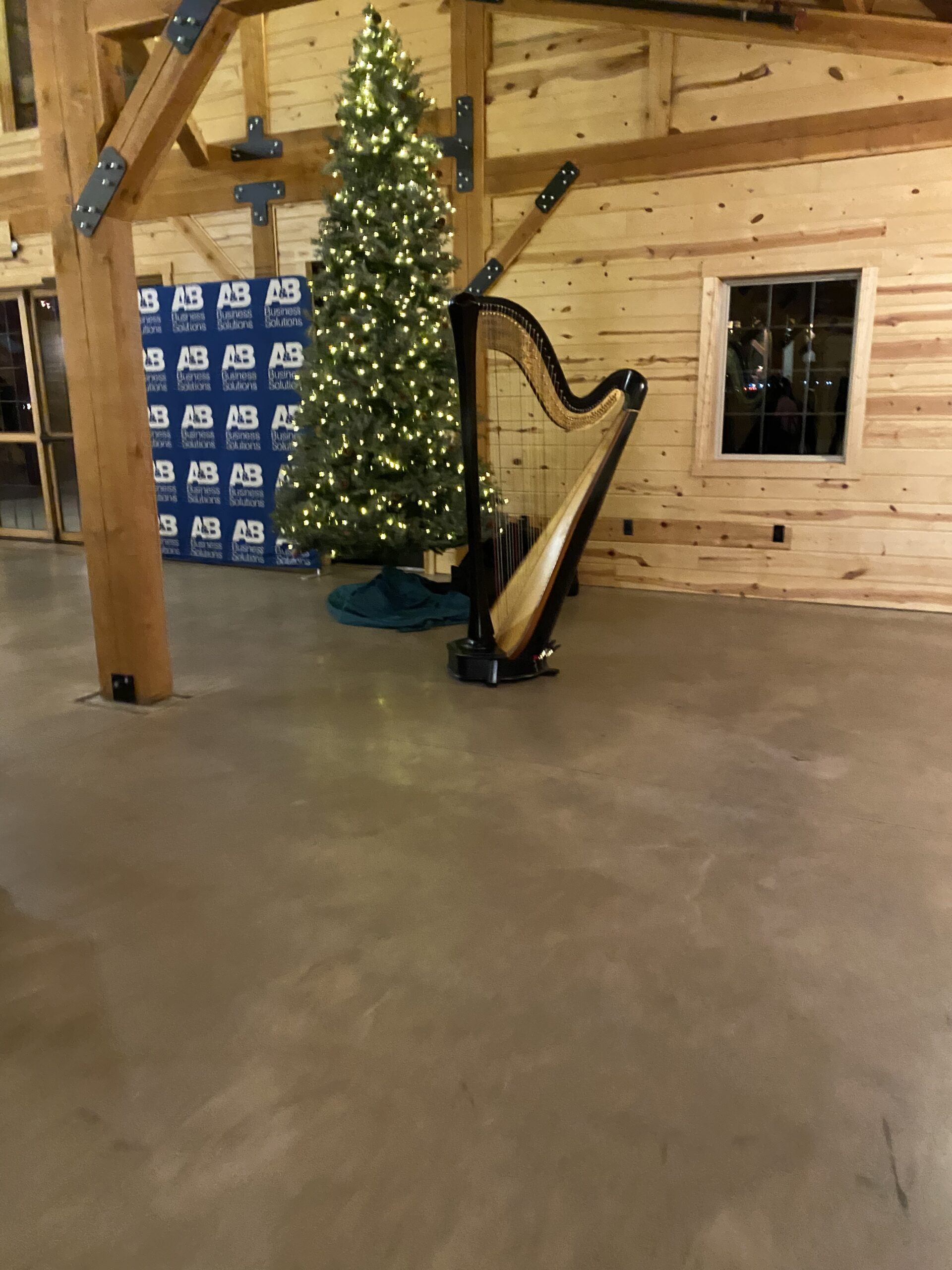 Harpist in Sioux Falls