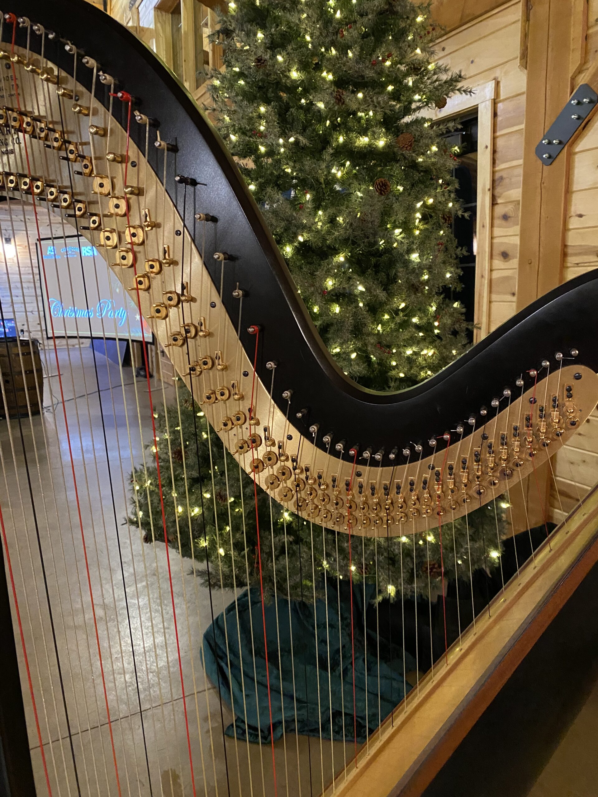 South Dakota Harpist