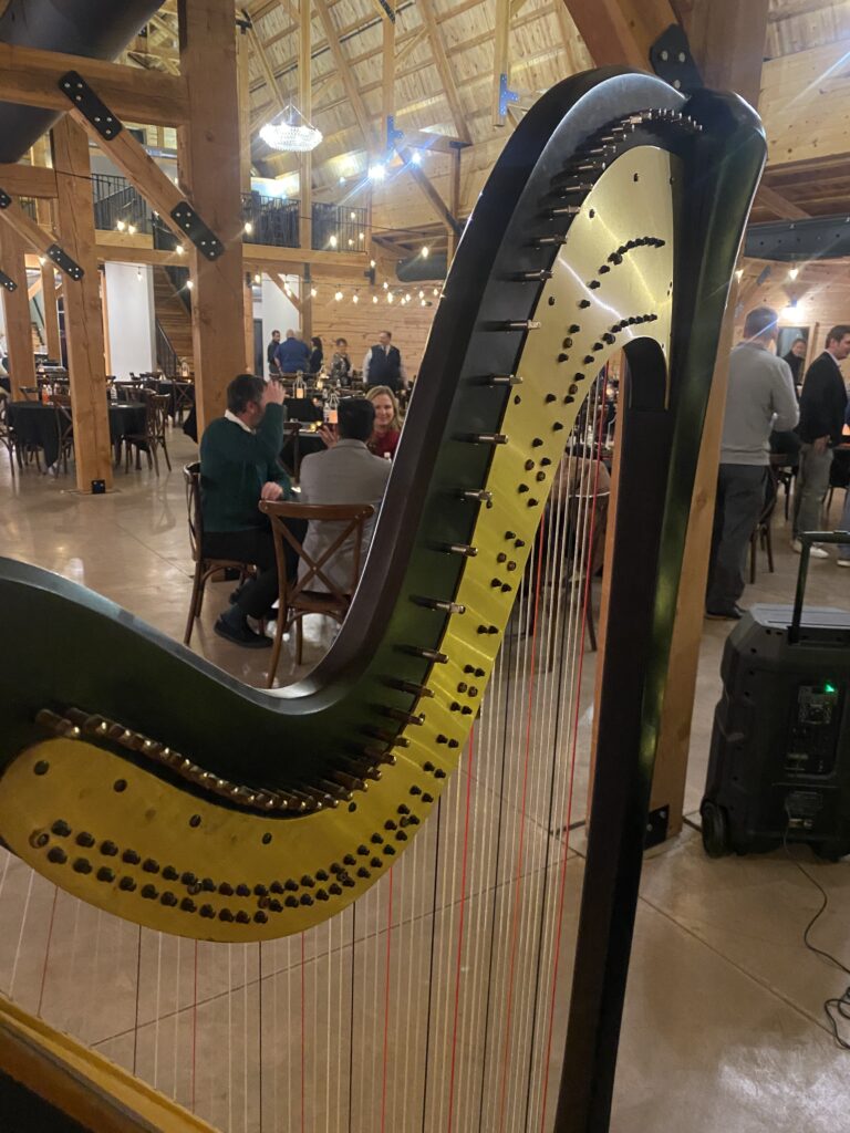 Harp Player Sioux Falls