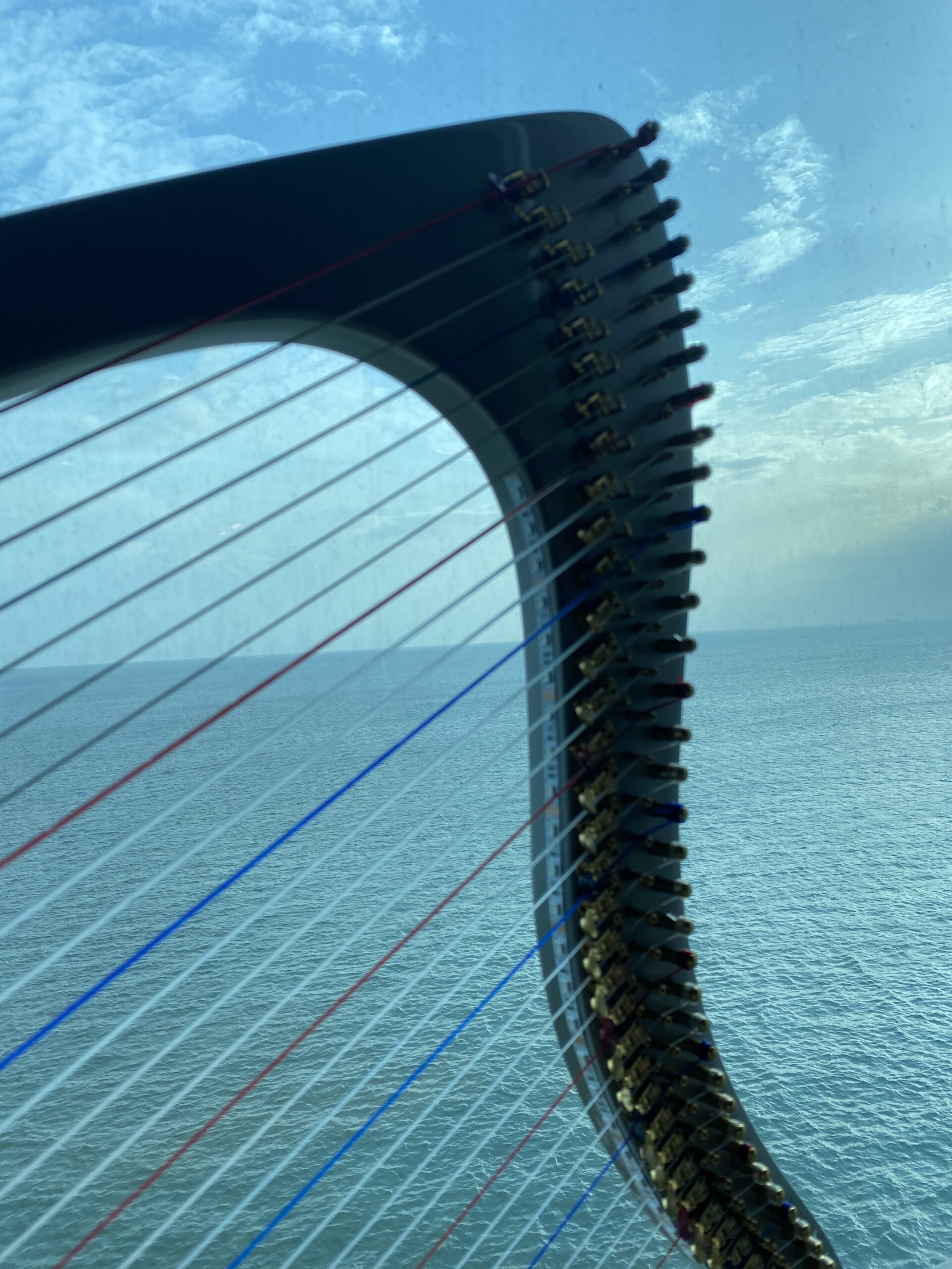 Harp Player in Trinidad