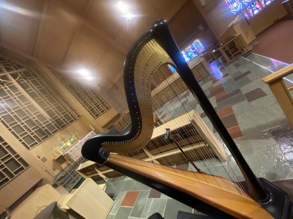 Harp Player Lincoln NE