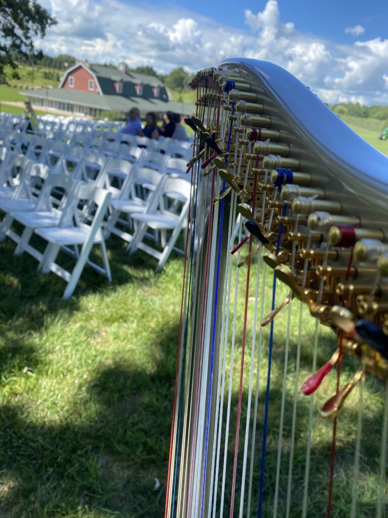 Music for a Wedding Rockford IL