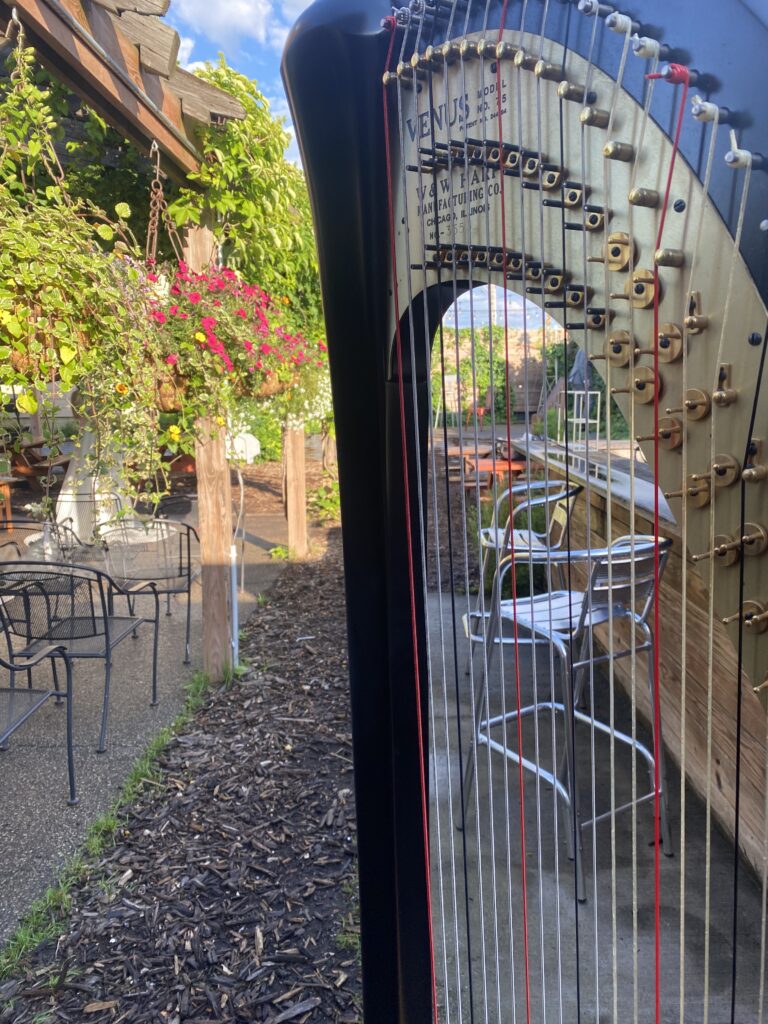 Harpist Rochester MN