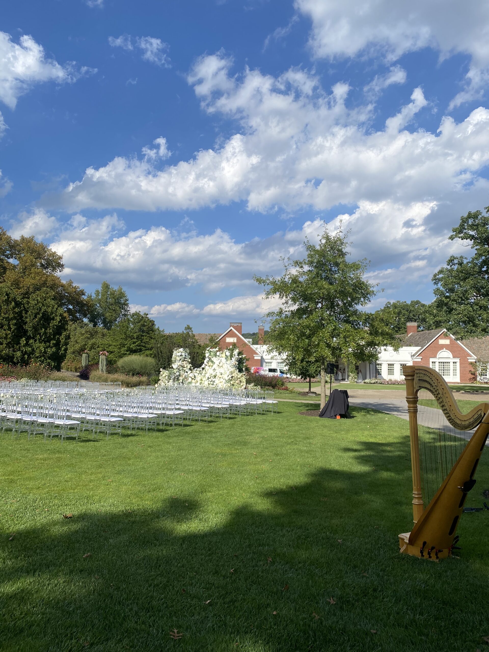 Pittsburgh Harpist