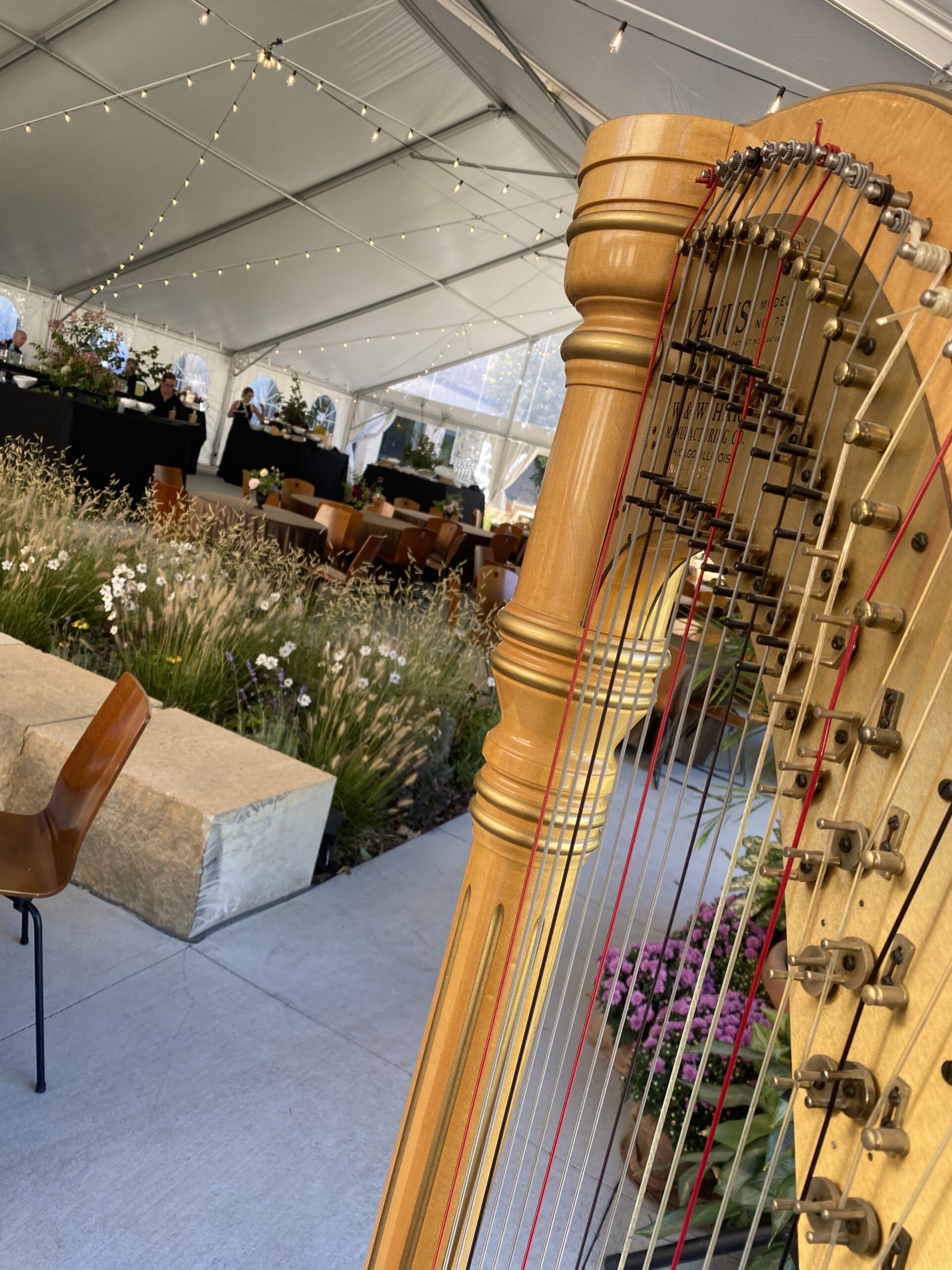 Omaha Harp Music