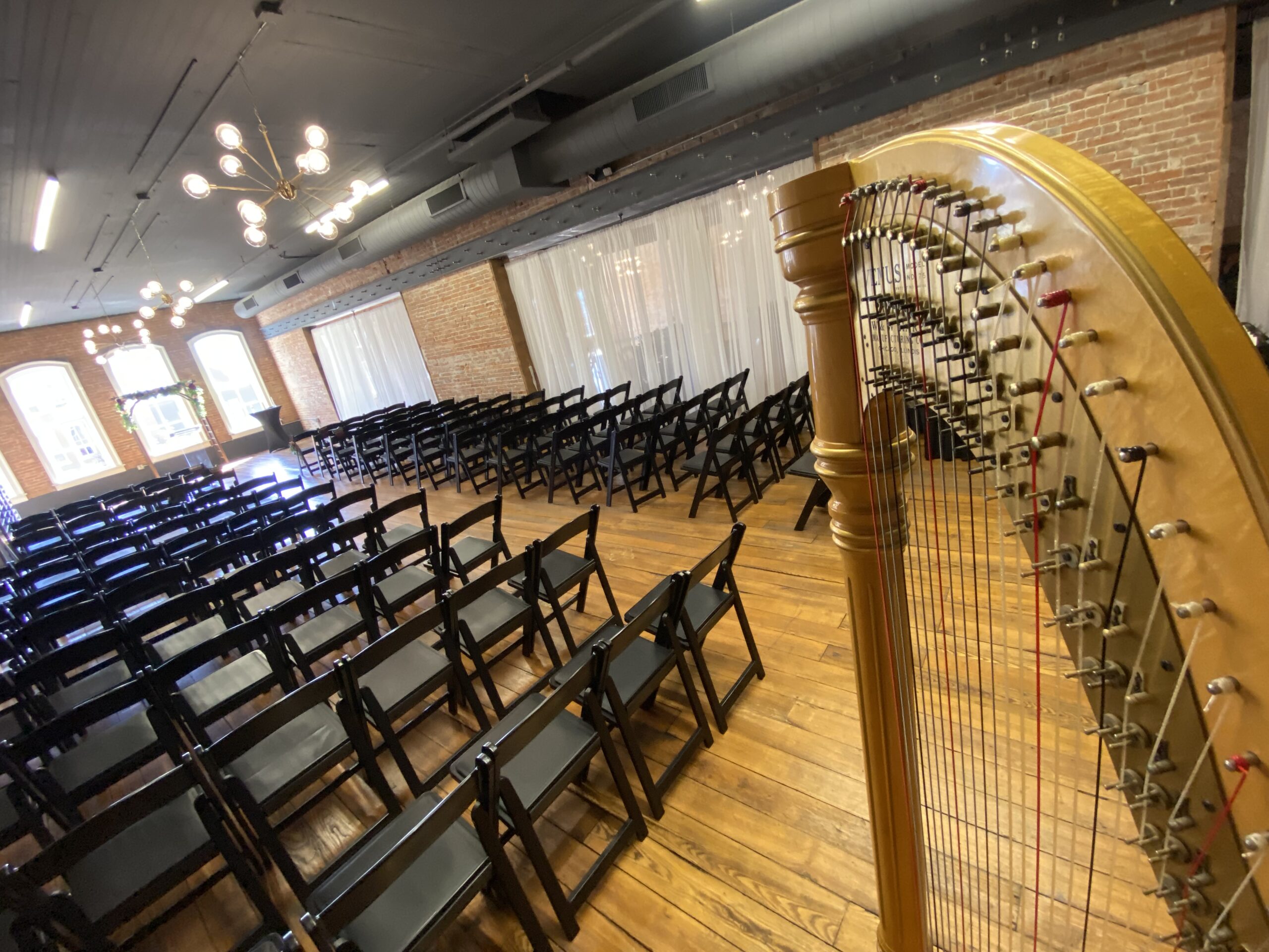 Harpist in Pella Iowa