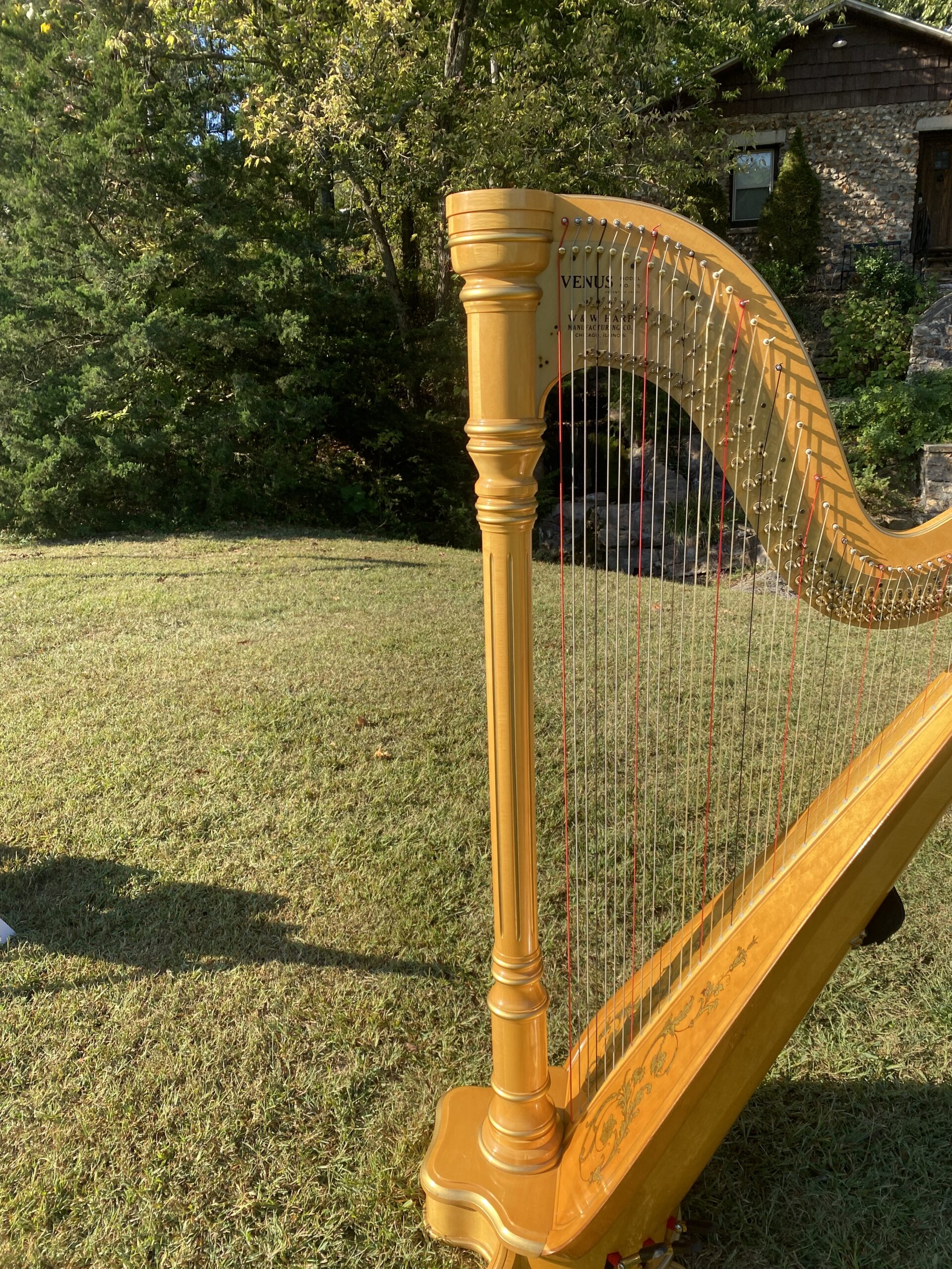 Joplin Harpist for Weddings