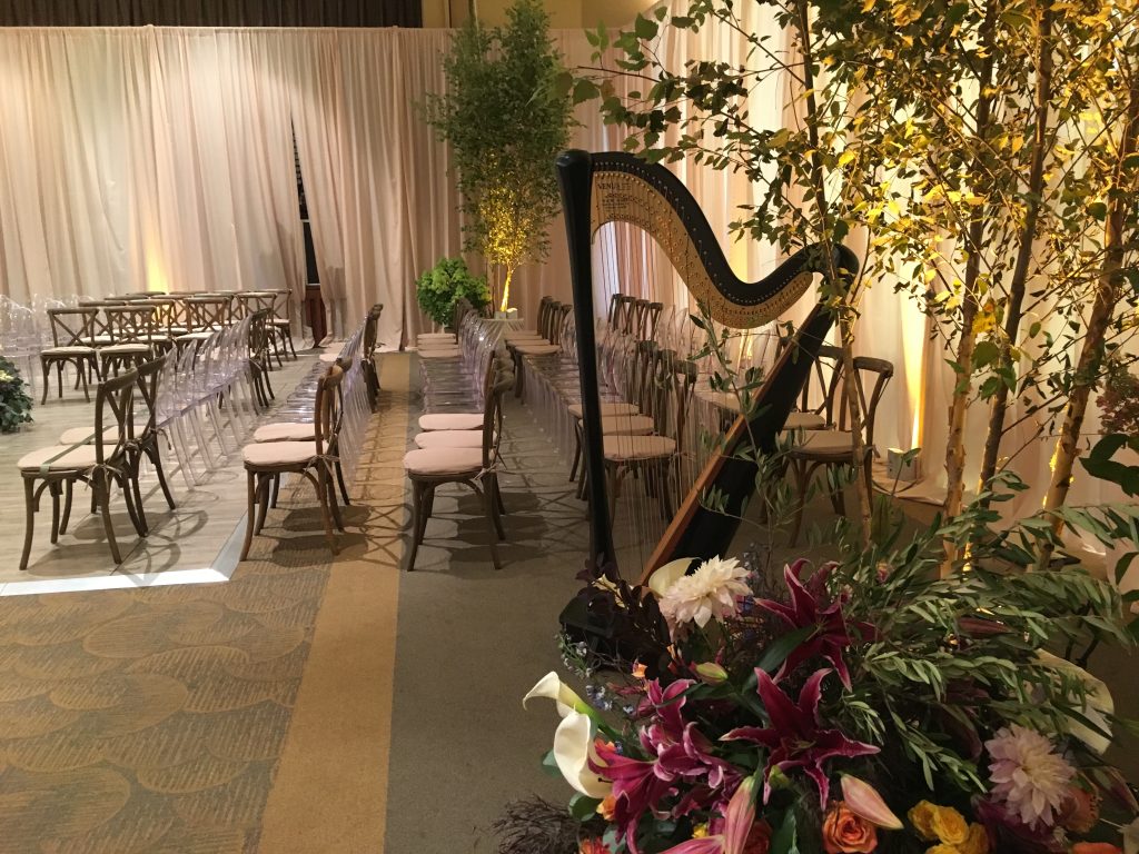 Wedding Harpist Cincinnati